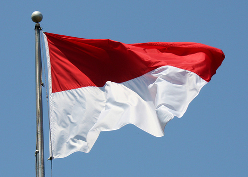 اندونيسيا: استئناف عمليات البحث عن طائرة 