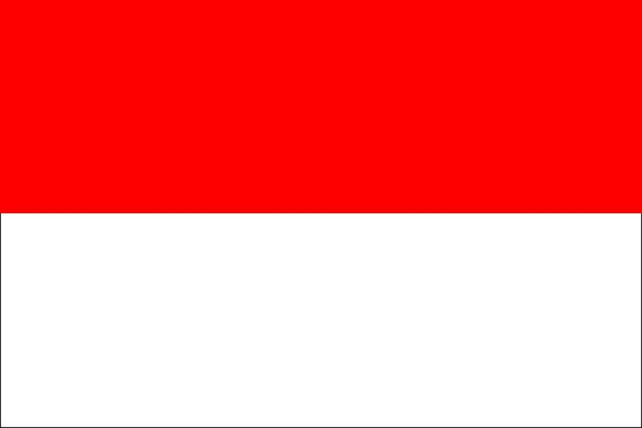 اندونيسيا: مقتل 28 عاملاً في انهيار منجم ذهب ونحاس