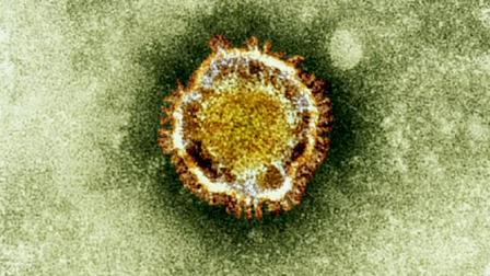 اصابتان جديدتان بفيروس كورونا في الامارات
