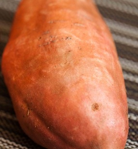 ثمرة عملاقة من البطاطا الحلوة تزن 9 كيلوغرامات في بجدرفل قضاء البترون
