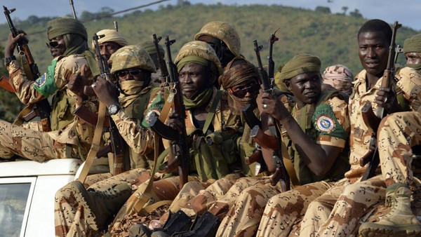 الجيش النيجيري يؤكد انه استعاد غوزا معقل بوكو حرام