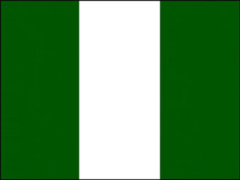 
مقتل اثنين وإصابة 33 في انفجار قنبلة في شمال شرق نيجيريا