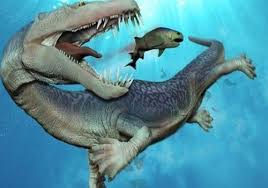 «وحش» بحري صغير عاش قبل 500 مليون عام