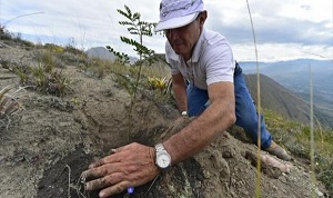 الإكوادور تدخل غينيس بزرع 600 ألف شجرة في يوم واحد