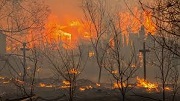 روسيا: النيران تلتهم عشرات الاف الهكتارات من الغابات في سيبيريا