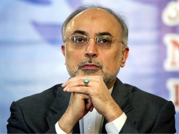 Salehi: Iran Rejects any Kind of Intervention in Syria
