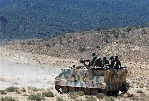 Algeria Says Eight Militants Killed by Army