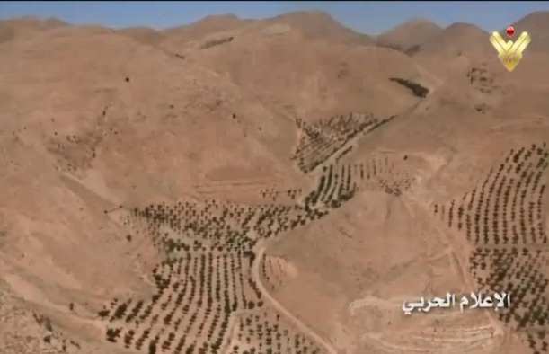 Hezbollah Foils Takfiri Infiltration Attempt, Kills 7 Gunmen in Border Area