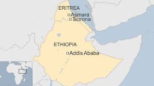 ’Significant’ Casualties in Eritrea-Ethiopia Clash: Ethiopia
