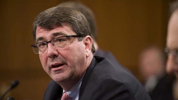 US Defense Chief in Iraq to Discuss Fight against ISIL