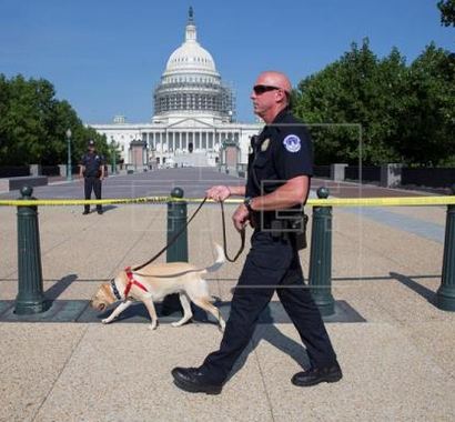 Lockdown of US Congress Lifted after Being Activated by Security Alert
