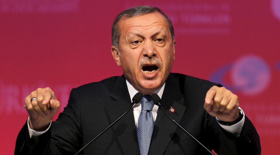 Erdogan Accuses EU of Hypocrisy, Says Turkey Preparing to Clear ISIL from Border
