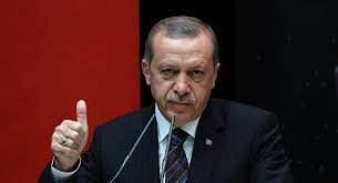 Erdogan Suggests UK-Style Referendum on Turkey EU Bid