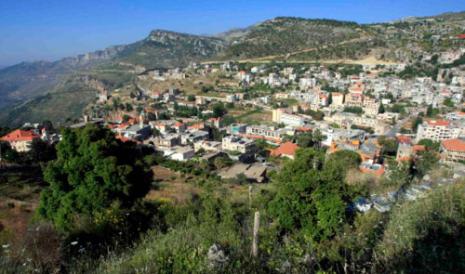 FPM Candidate Wins Jezzine By-elections
