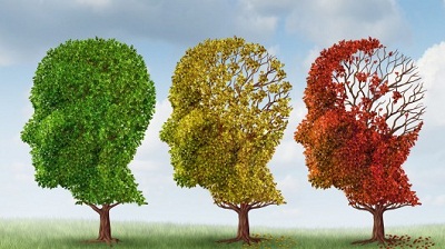 Alzheimer: nouvelle cause et traitement potentiels, selon une recherche animale