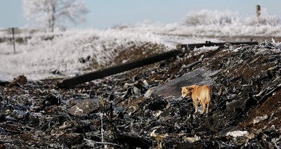 Le Boeing MH17 n’a pas été abattu par un missile russe, selon les Pays-Bas