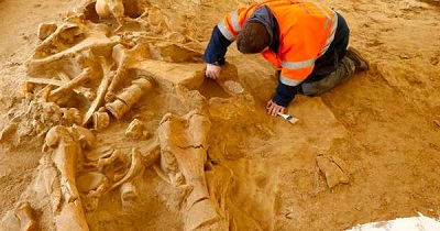 Australie: Un squelette humain de 5,30 mètres mis au jour !