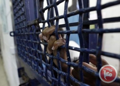 Plus de 300 prisonniers palestiniens actuellement en grève de la faim !