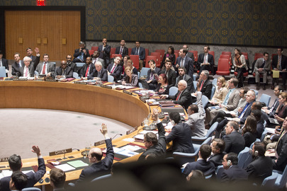 Argentina lamenta no aprobación de resolución palestina en la ONU