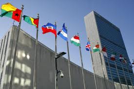 Israel irritado por el reconocimiento de ONG palestina por la ONU