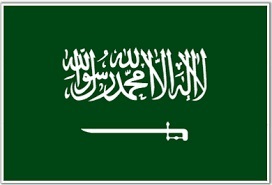 Arabia Saudí detrás de ofensiva terrorista en Hama

