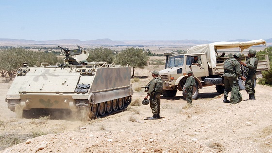 الجيش التونسي يكثف قصفه لجبل الشعانبي