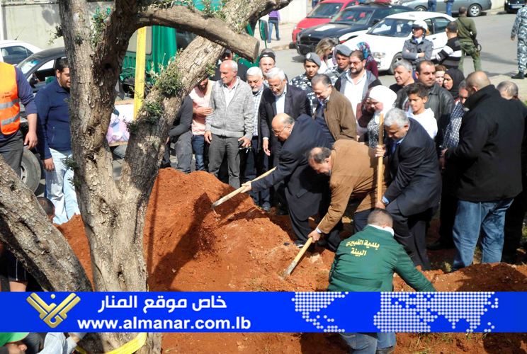 زراعة الحياة في حفر الموت.. أشجار زيتون أمام دار الأيتام الاسلامية في بئر حسن