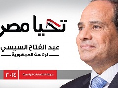 الشعب المصري كان يأمل الكثير من السيسي 