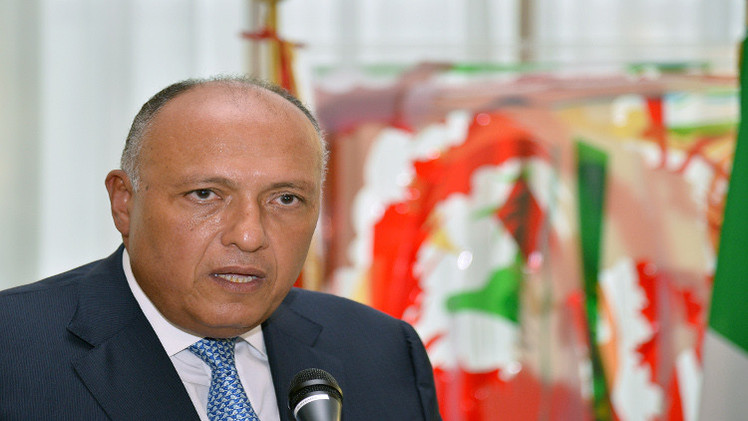 وزير الخارجية المصري يبحث الأزمة الليبية في الجزائر