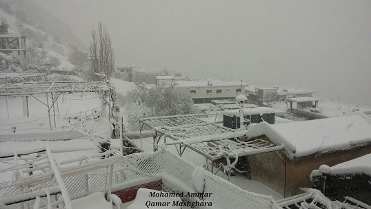 صور من بلدة مشغرة البقاعية - لبنان