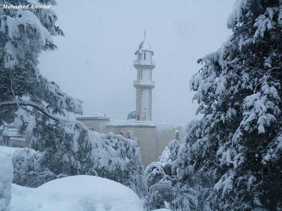 شاهد .. مشغرة المرصّعة بالبياض