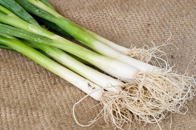 Green Onion