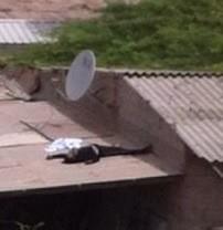 bahrain martyr