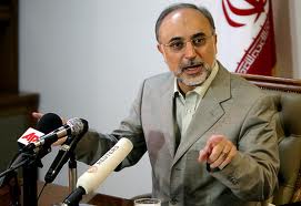 Salehi: Iran Ready to Help Solve Crisis in Mali
