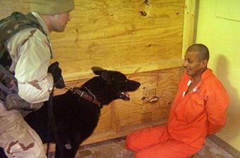 Psychological Group Aided CIA Torture: Report