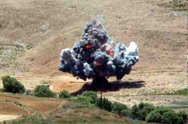 Lebanese Woman Martyred as Landmine Explodes in Marwaheen
