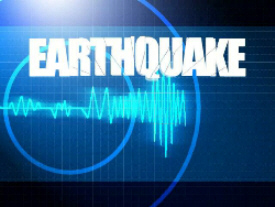 Powerful Quake Hits Tokyo
