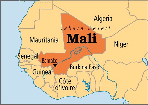 Two Senegalese UN Troops Killed in Mali Suicide Attack