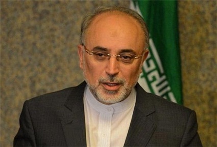 Salehi Stresses Voluntary Nature of Halt to Iran’s 20-Percent Enrichment
