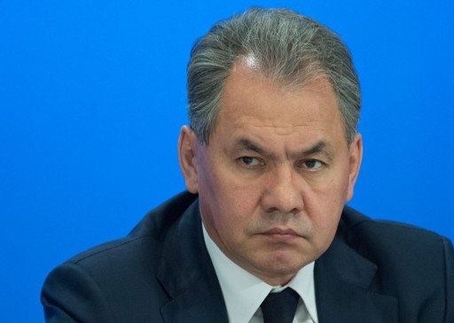 Shoigu: Russia Ready to Share in Syrian Chemical Arsenal Disposal