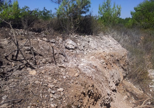 Israeli Troops Set Ablaze Oak Forests in South Lebanon