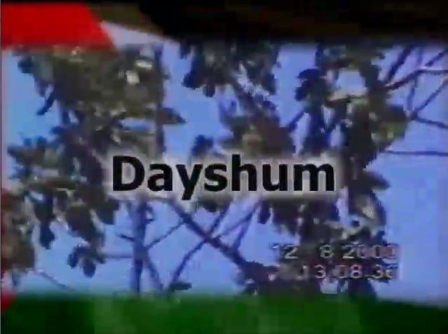 Occupied Palestine: Dayshum