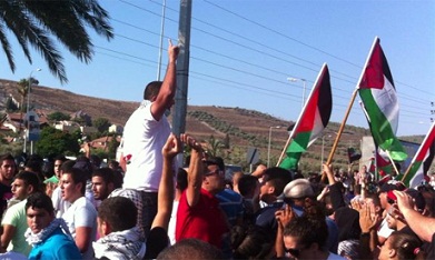 Palestinians Hold Large-Scale Protests against Prawer Plan