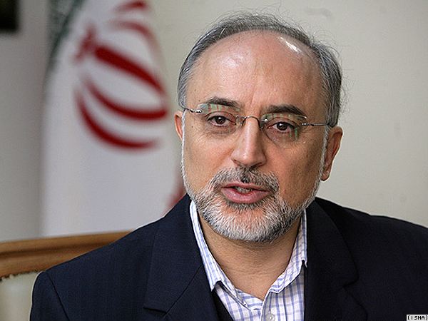 Salehi: Arak Heavy Water Reactor Will Remain Intact