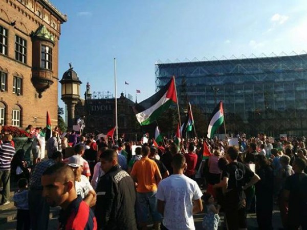 Palestine: Solidarity protests