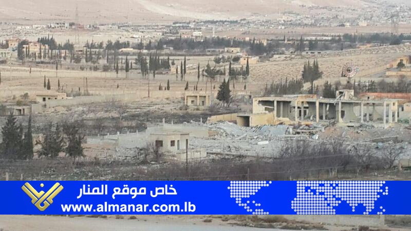 Rima Farms - Qalamoun