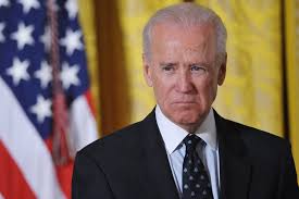 Biden: Political Solution Only Way to End Syria Crisis