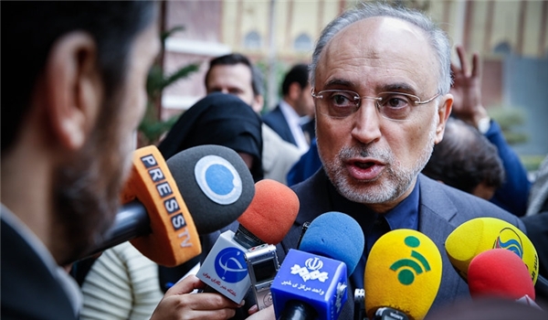 No Halt in Work of Iran Nuclear Facilities: Salehi