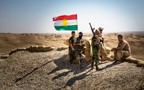 Iraqi Kurdish Forces Hit with Chemical Weapons: Germany