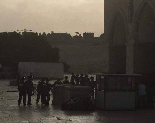 Al-Aqsa: Zionist violations; Sep. 13, 2015